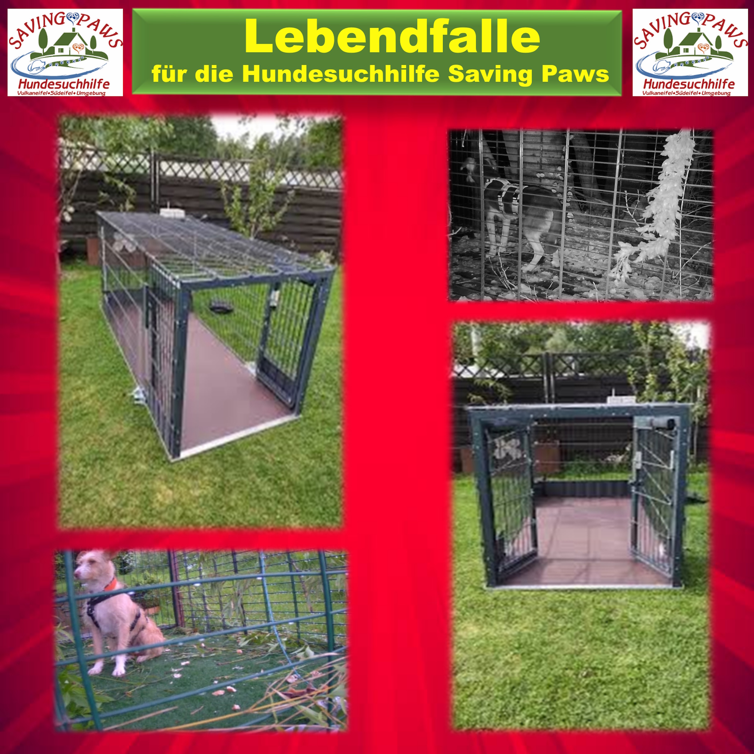 Große Lebendfalle hilft bei der Sicherung entlaufener Hunde Gemeinsam Leben retten - helft uns, damit wir helfen können.